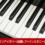 新品ピアノ ディアパソン(DIAPASON DR300) ディアパソン「総一本張」採用モデル