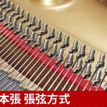 新品ピアノ ディアパソン(DIAPASON DR300) ディアパソン「総一本張」採用モデル