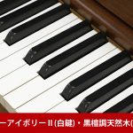 中古ピアノ ヤマハ(YAMAHA YU50WnC) ヤマハ木目・猫脚ハイグレードモデル