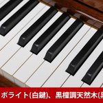 中古ピアノ ヤマハ(YAMAHA YUS5MhC-SHTA) ヤマハトランスアコースティックピアノ