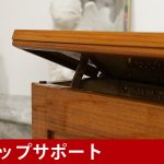 中古ピアノ (ED.SEILER) 1849年にドイツで誕生した伝統あるピアノブランド