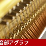 中古ピアノ プレイエル(PLEYEL P115) “シンギング・トーン”といわれる歌うような音色