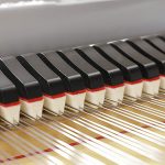 中古ピアノ スタインウェイ＆サンズ(STEINWAY&SONS L-180) 貴重な銘木のアクセントが際立つモダンな1台