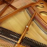 中古ピアノ ベーゼンドルファー(BOSENDORFER 170CS) コンサバトリー シリーズ　「至福のピアニッシモ」 