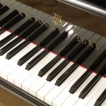 中古スタインウェイ＆サンズ (STEINWAY＆SONS） C227　セミコンサートグランド　D型に匹敵する迫力ある響き