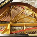 中古スタインウェイ＆サンズ (STEINWAY＆SONS） C227　セミコンサートグランド　D型に匹敵する迫力ある響き