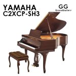 株式会社ピアノプラザ | YAMAHA WX1AWnC(5033)