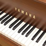 中古ピアノ ヤマハ(YAMAHA C5Wn) 一クラス上のゆとり　木目スペシャルオーダーピアノ