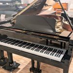 PXL_20240911_0135039412-