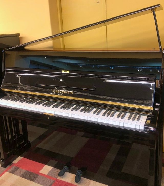 ベヒシュタイン12a