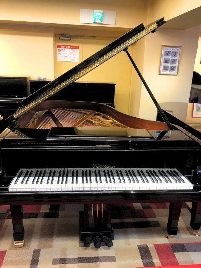 model6