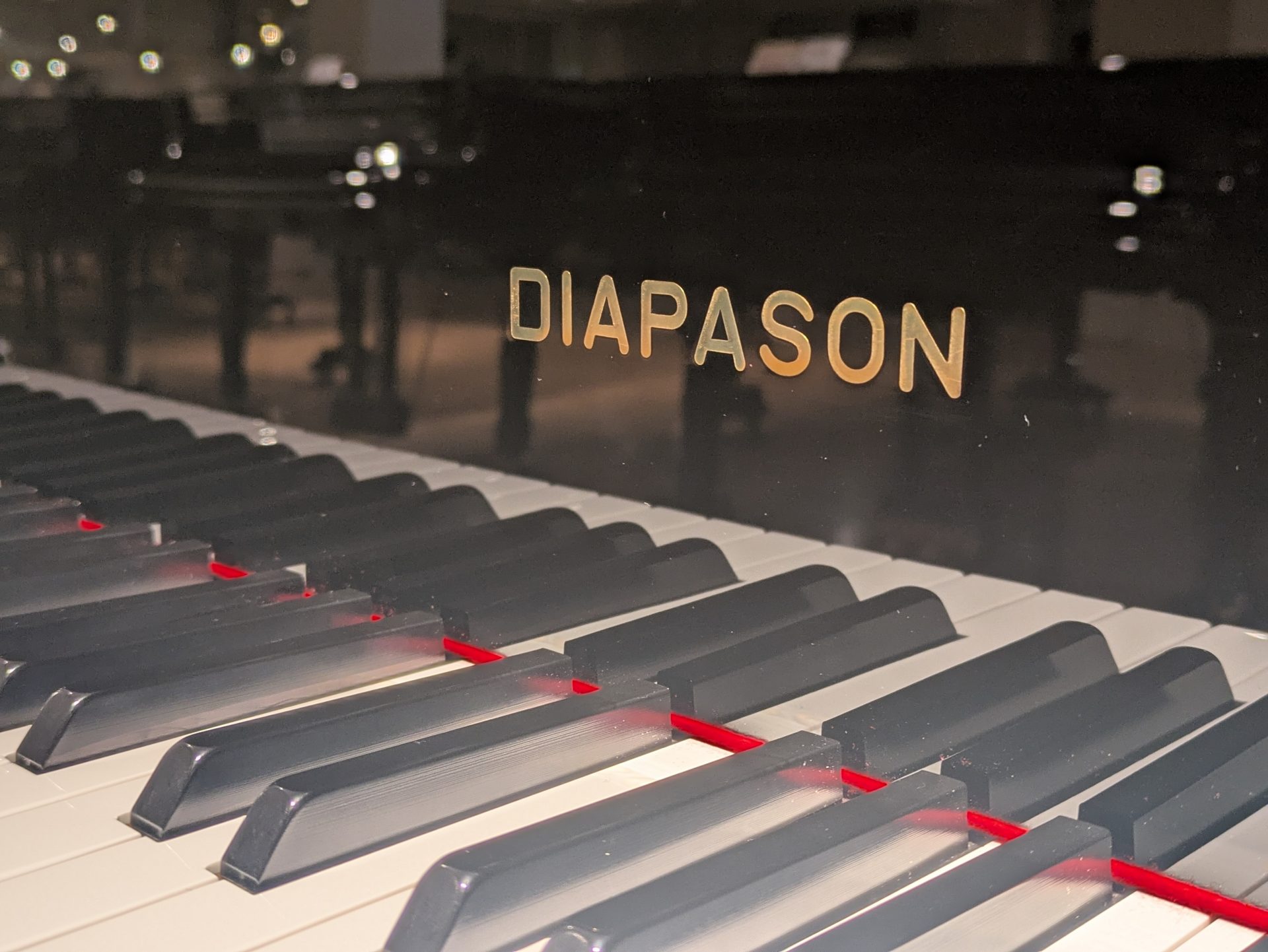 PXL_20250921_071108964.