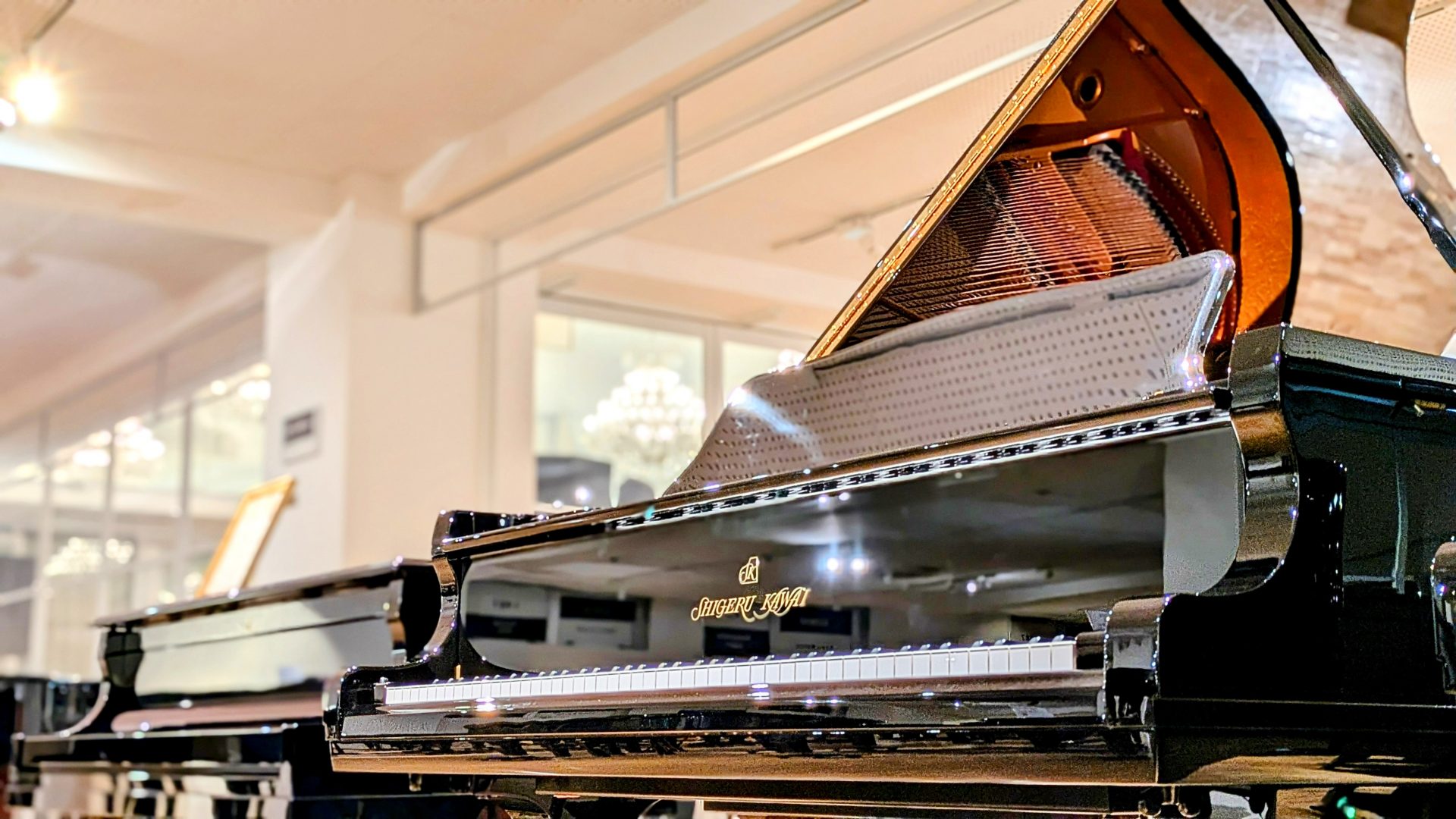 プロも絶賛！ Shigeru Kawaiの“素材美”と“匠の技”に迫る｜歴史・技術