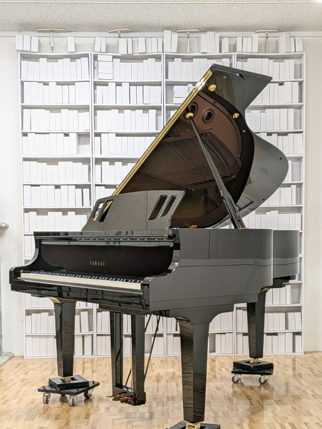 YAMAHA C3X espressivo