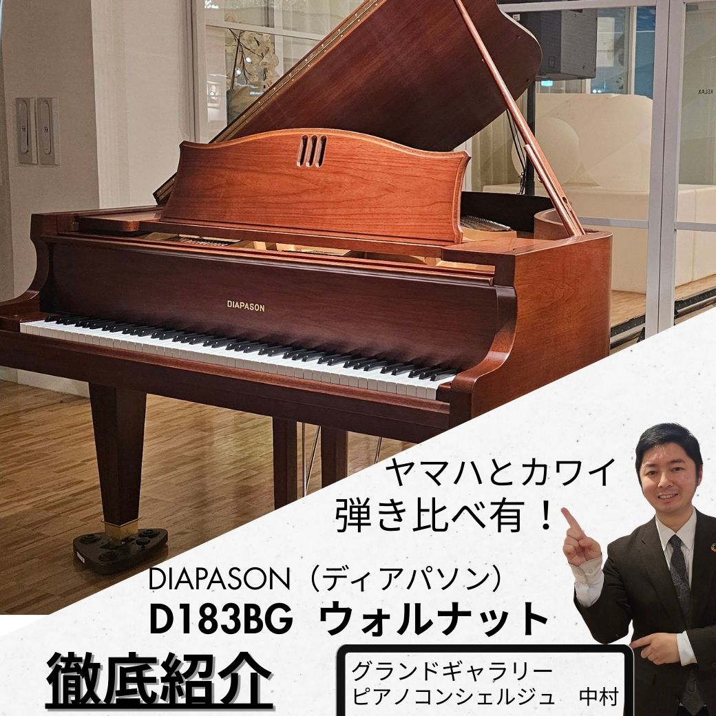 徹底解説！】【弾き比べ有】DIAPASON(ディアパソン)D183BG ※動画あり