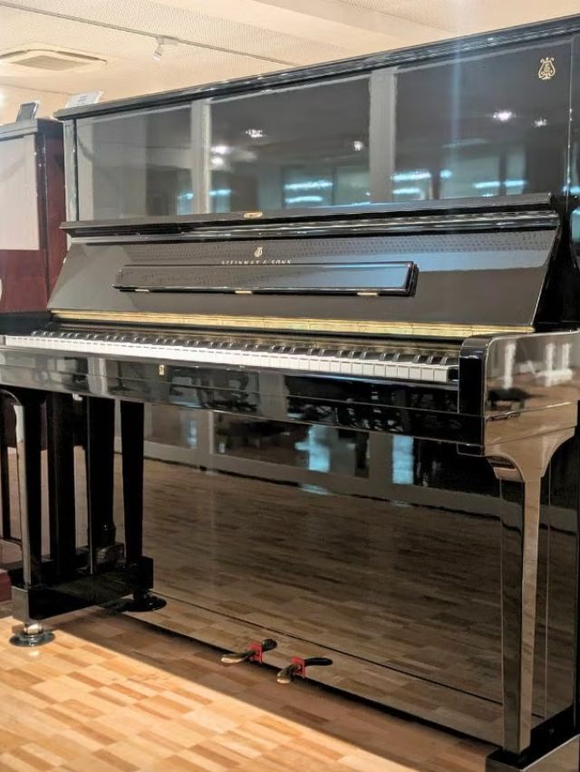 Steinway k132