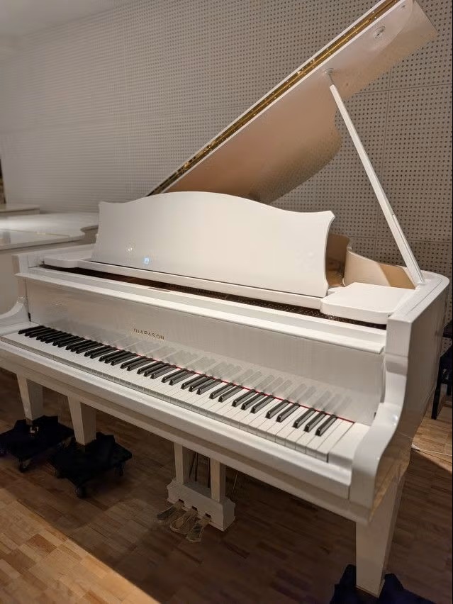 展示情報】DIAPASON（ディアパソン） 170E コストパフォーマンスの高い